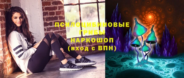 молекула духа Алексин
