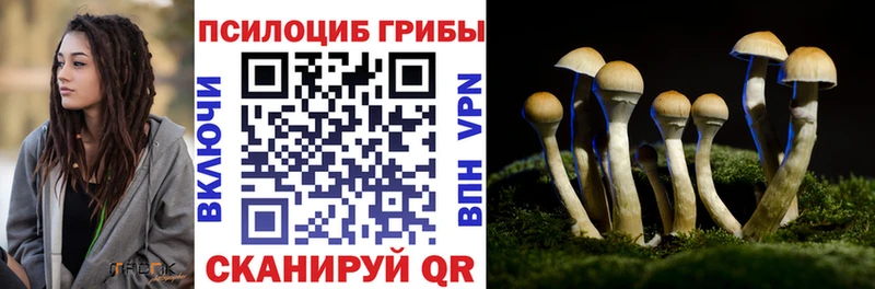 Купить закладки  Дубовка  Галлюциногенные грибы мицелий 
